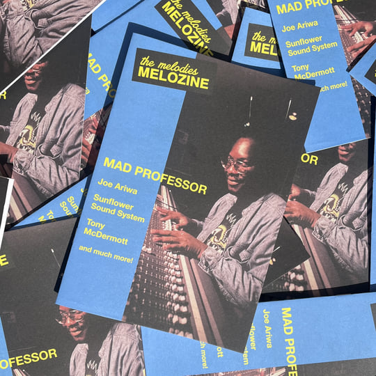 Melodies International presents Ariwa Sounds | Mad Professor