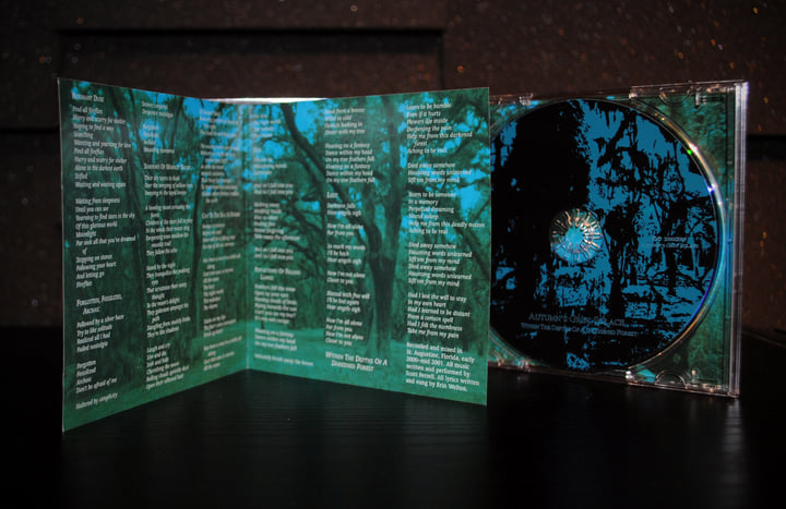Within The Depths Of A Darkened Forest | Autumn's Grey Solace
