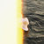 .:.::..:::..::.:. thumbnail