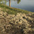 linton148 thumbnail