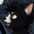 catnamedburger thumbnail
