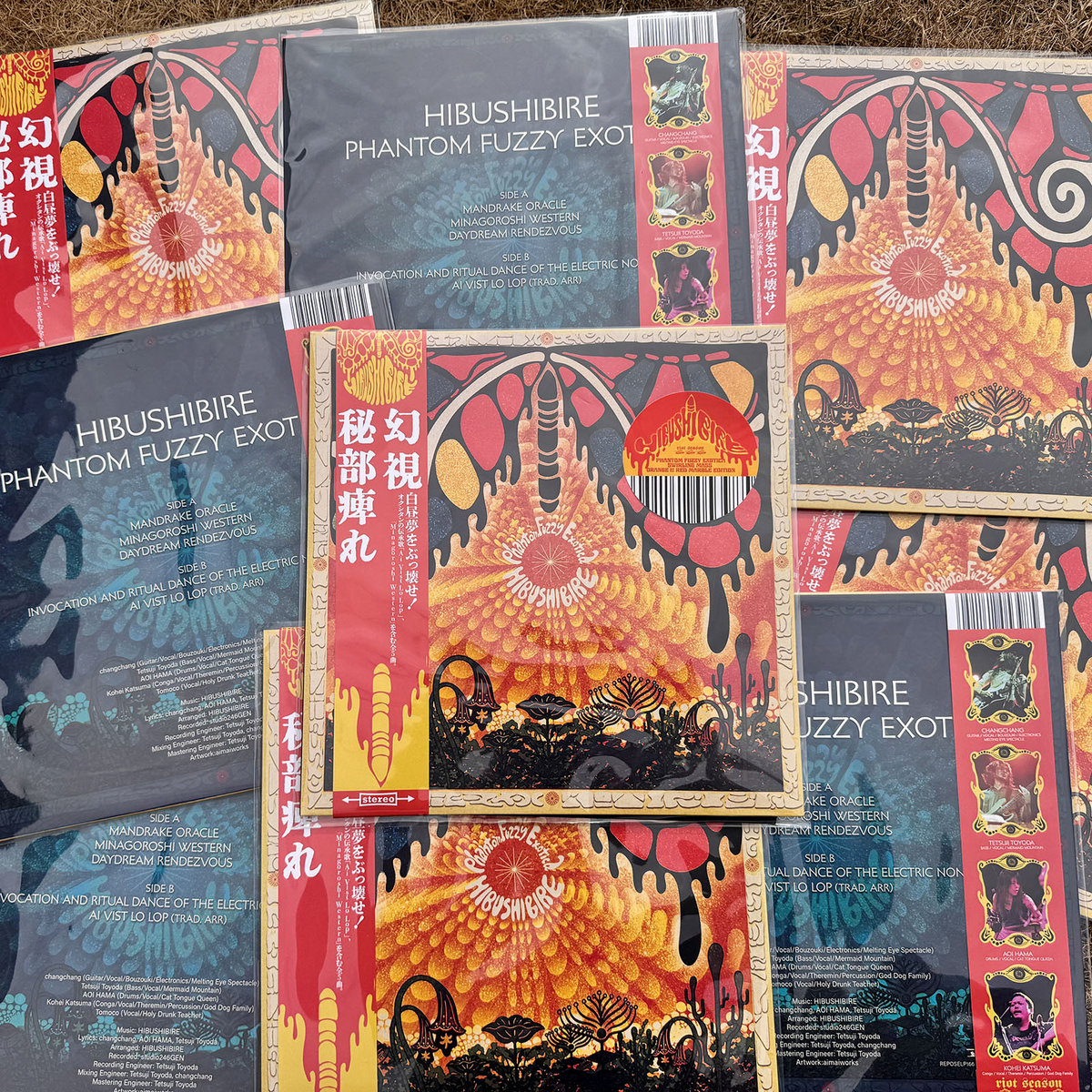 Phantom Fuzzy Exotica | HIBUSHIBIRE | Riot Season Records
