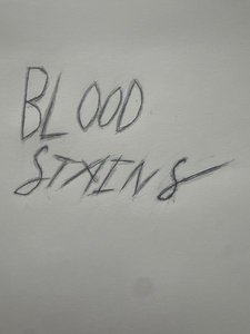 Bloodstains — Photo