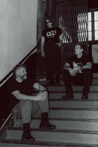 Balduvian Bears — Photo