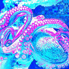 Fortune Goodies | Minami Deutsch