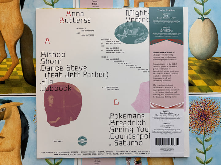 Mighty Vertebrate | Anna Butterss | International Anthem