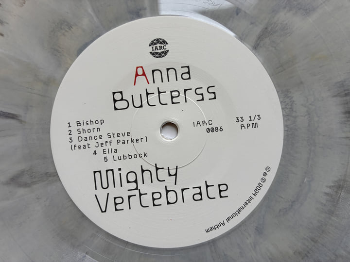 Mighty Vertebrate | Anna Butterss | International Anthem