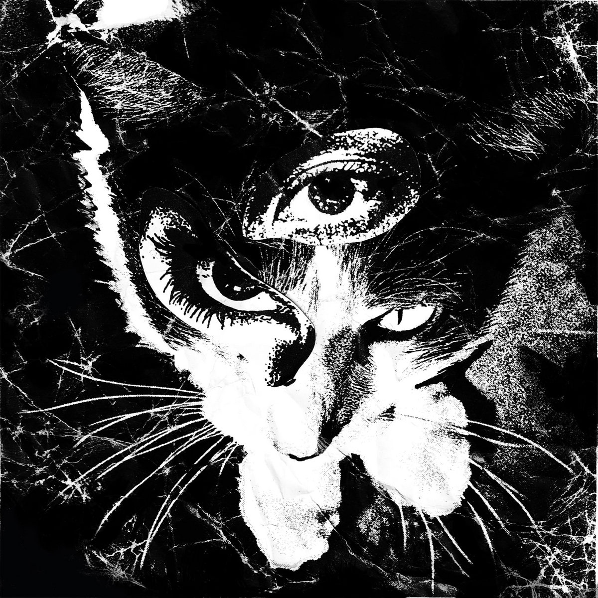 Music | Tokyo Shoegazer