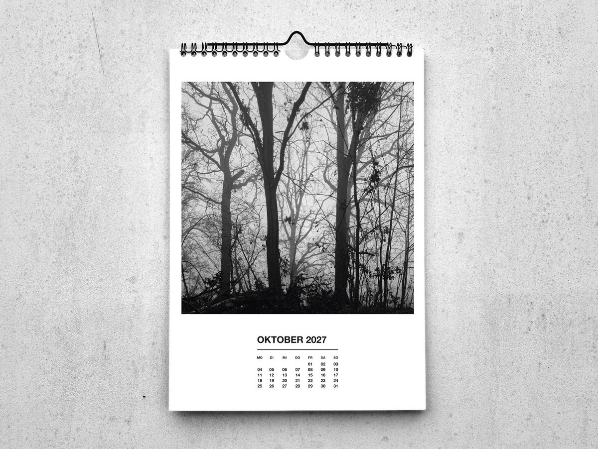 bundle. sept2026 [svp26.09] | ant-zen