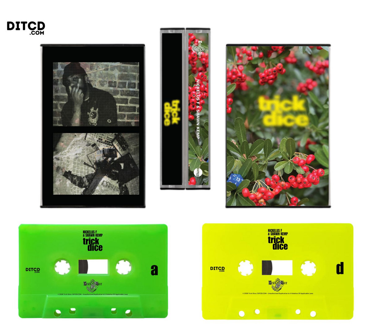 Trick Dice (Expanded Edition) | NICKELUS F & SHAWN KEMP | DITCD.COM