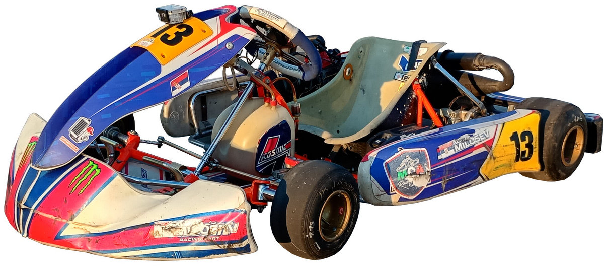 Rotax 125 Senior Max Evo 2014 go-kart photo detail