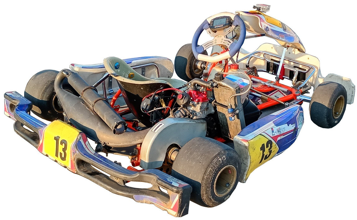 Rotax 125 Senior Max Evo 2014 go-kart photo detail