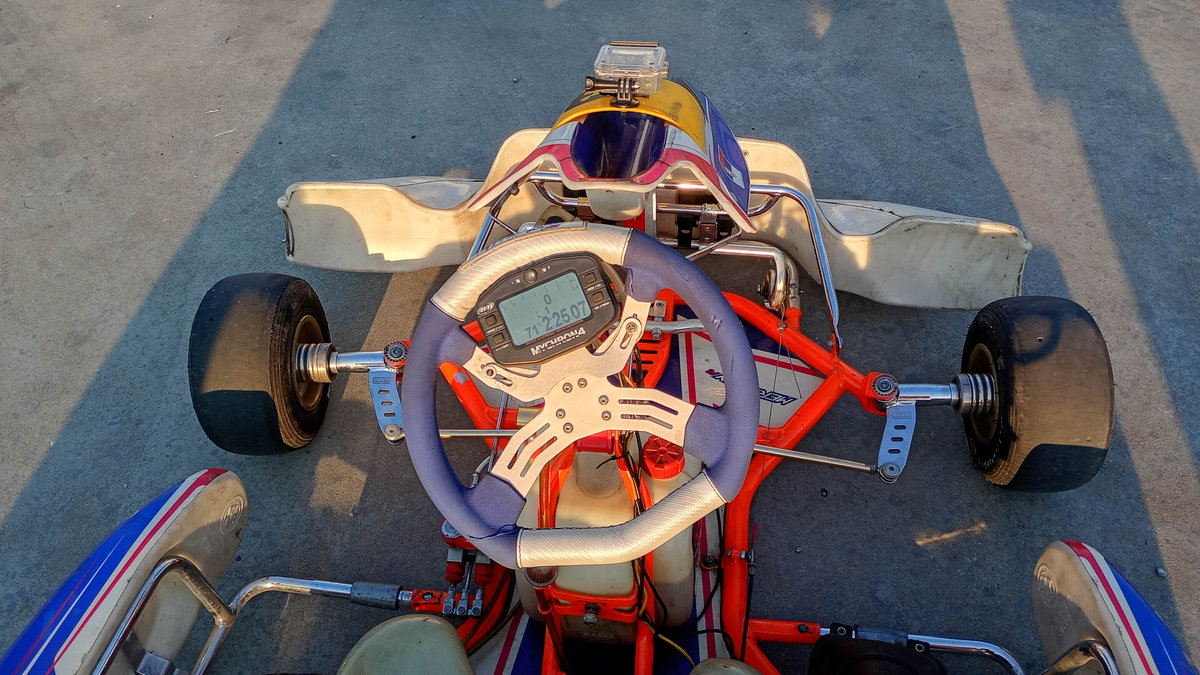 Rotax 125 Senior Max Evo 2014 go-kart photo detail