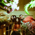 Wildermiss photo