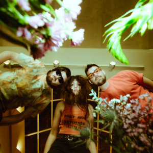 Wildermiss — Photo