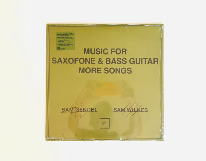 Music for Saxofone and Bass Guitar More Songs | Sam Gendel & Sam