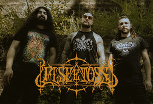 Elseetoss — Photo