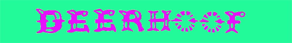 Deerhoof — Photo