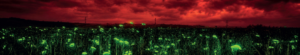 Futile Mourning — Photo
