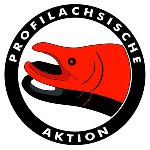 Profilachse