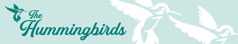 The Hummingbirds — Photo
