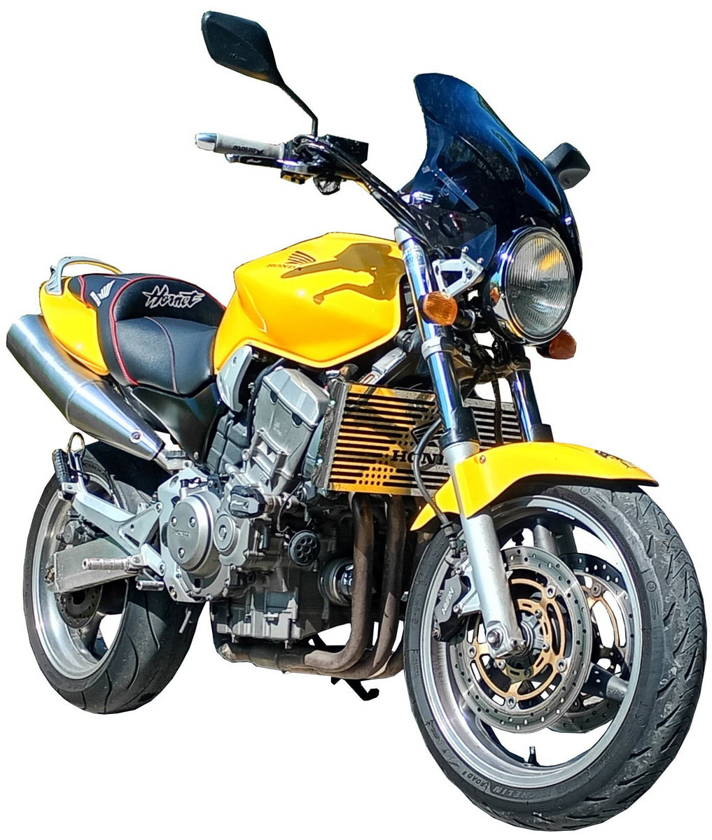 Honda CB900F Hornet 2002 standard motorcycle photo detail