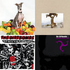 We Have You Surrounded | The Dirtbombs