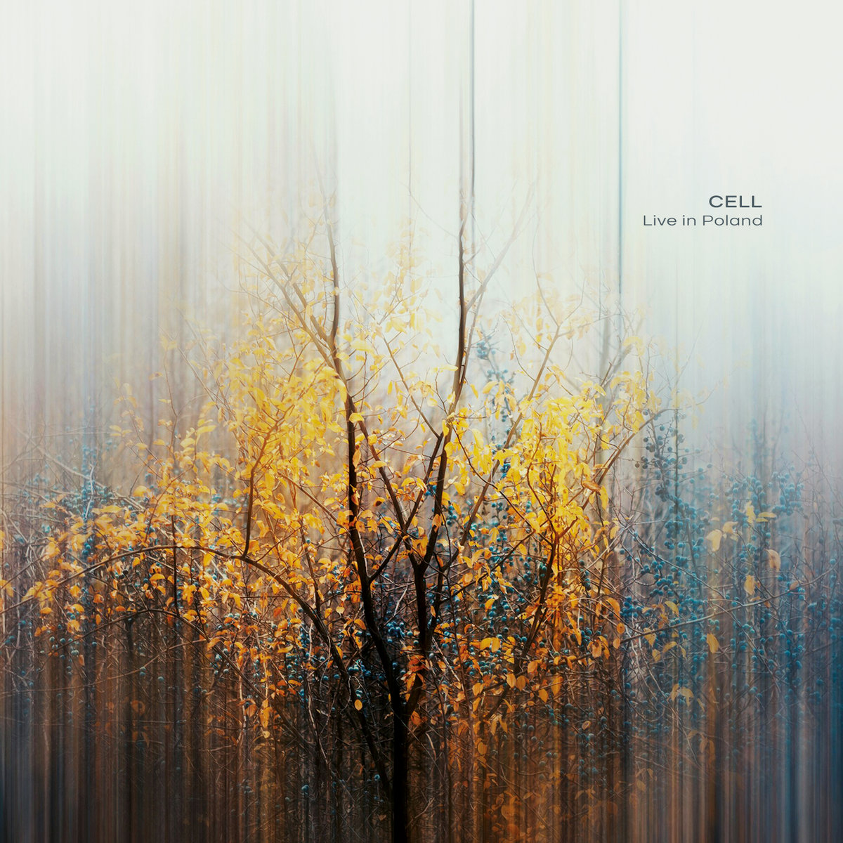 Blue Embers (2026 Live Edit) - 24bit | CELL | Ultimae