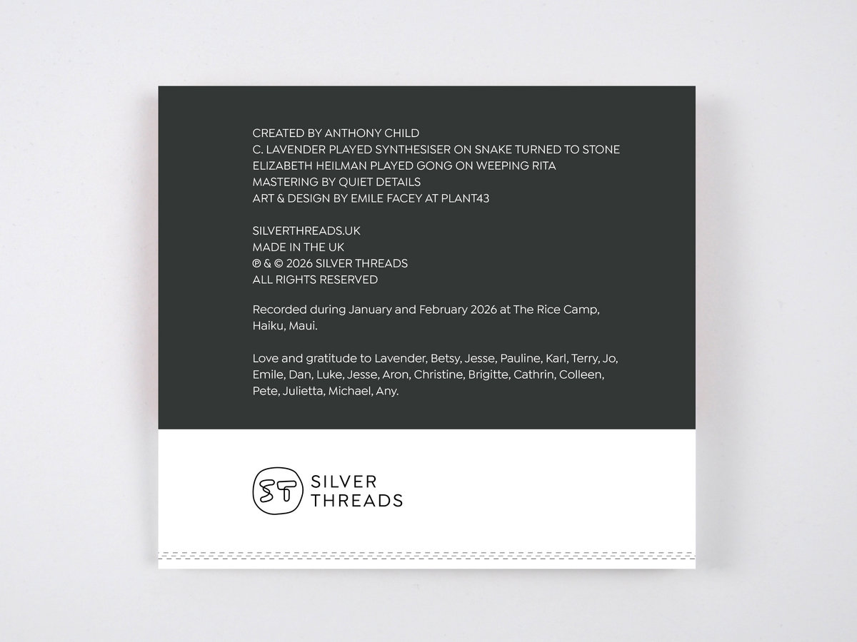 Beginning of the Shadow | Anthony Child | Silver Threads