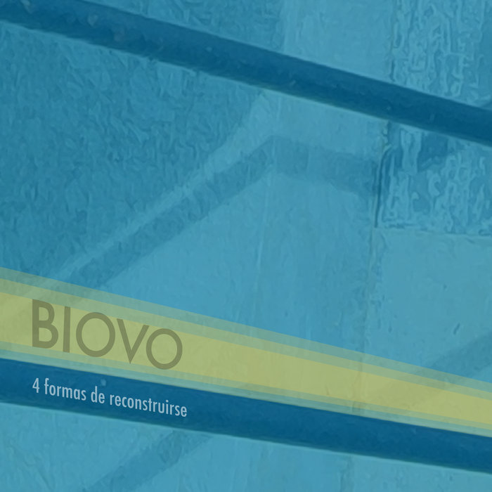 4 formas de reconstruirse | Biovo