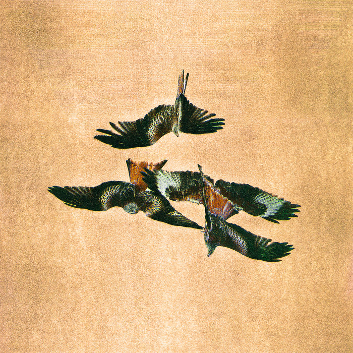 Pochette de Red Kites par Tender Ender
