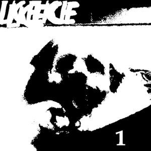 LICE NOISE 1 cover