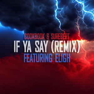 CookBook & Surebert - If Ya Say (Remix) ft. Eligh cover