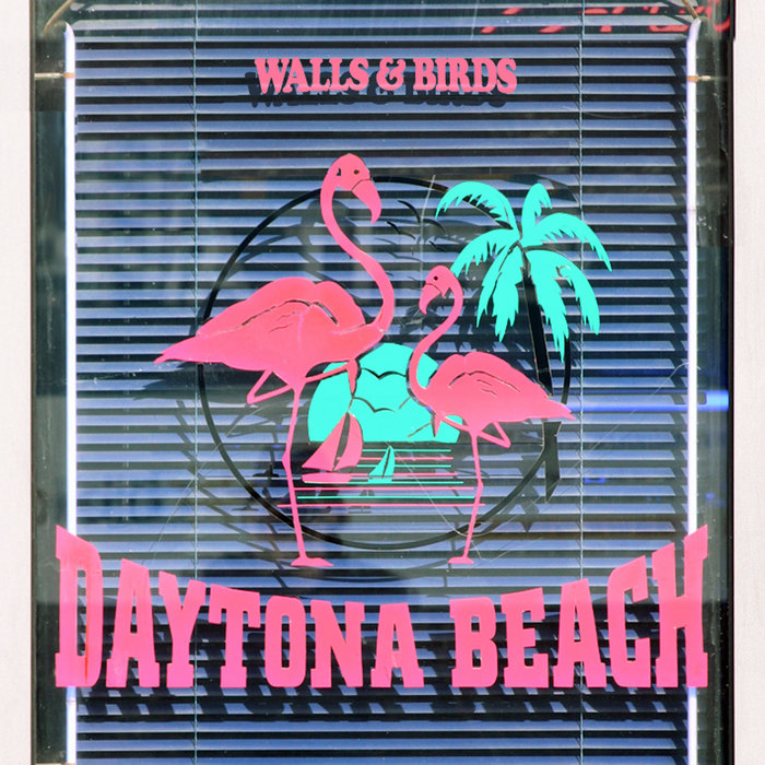 Daytona Beach Walls & Birds