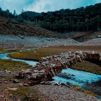 Quercia - mentre i monsoni curano e scuotono l'erba rimasta,