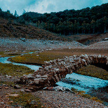 Quercia - mentre i monsoni curano e scuotono l'erba rimasta,