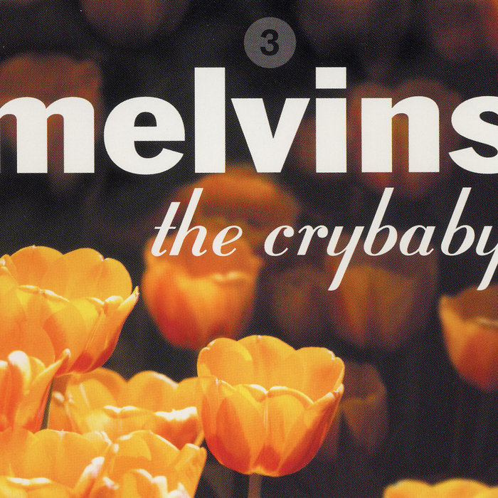 Smells Like Teen Spirit, by Melvins