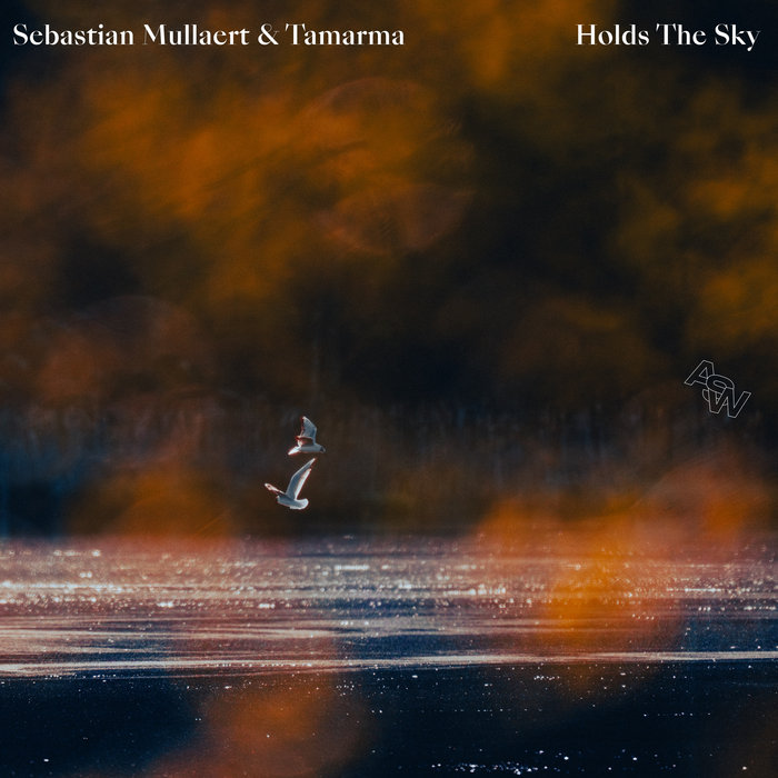 Pochette de Holds the Sky par Sebastian Mullaert & Tamarma
