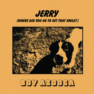 Jerry cover