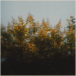 Mountain Interval