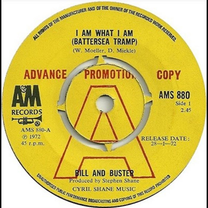 Bill Busters Image I Am What I Am Battersea Tramp | Bill & Buster