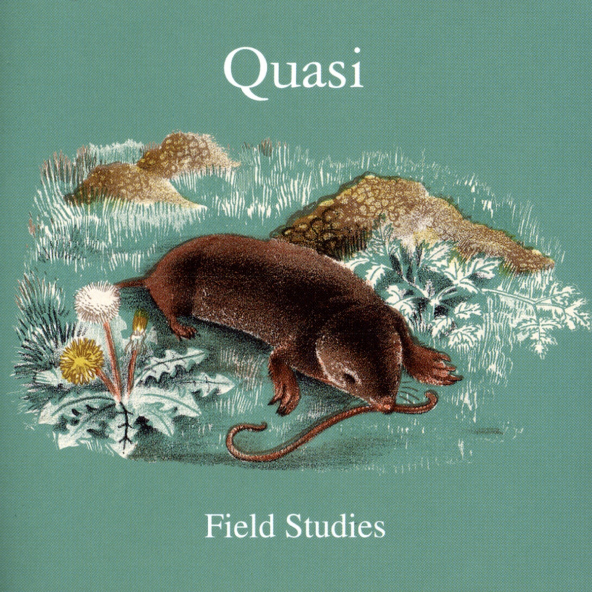 Quasi Field Studies 1999年リリース Field Studies | Quasi