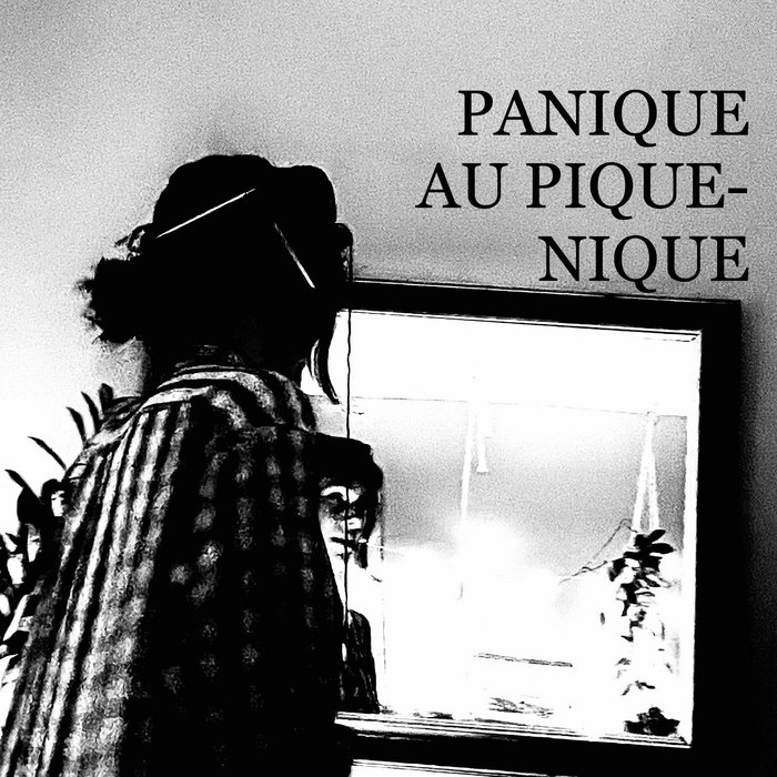PANIQUE AU PIQUENIQUE Homicide à domicile
