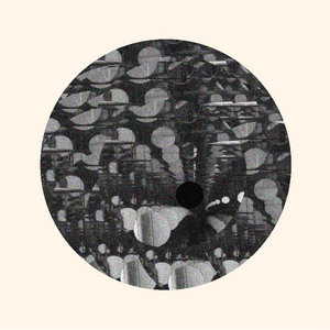 LPII cover