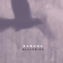 Blackbird cover art