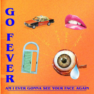 Am I Ever Gonna See Your Face Again cover