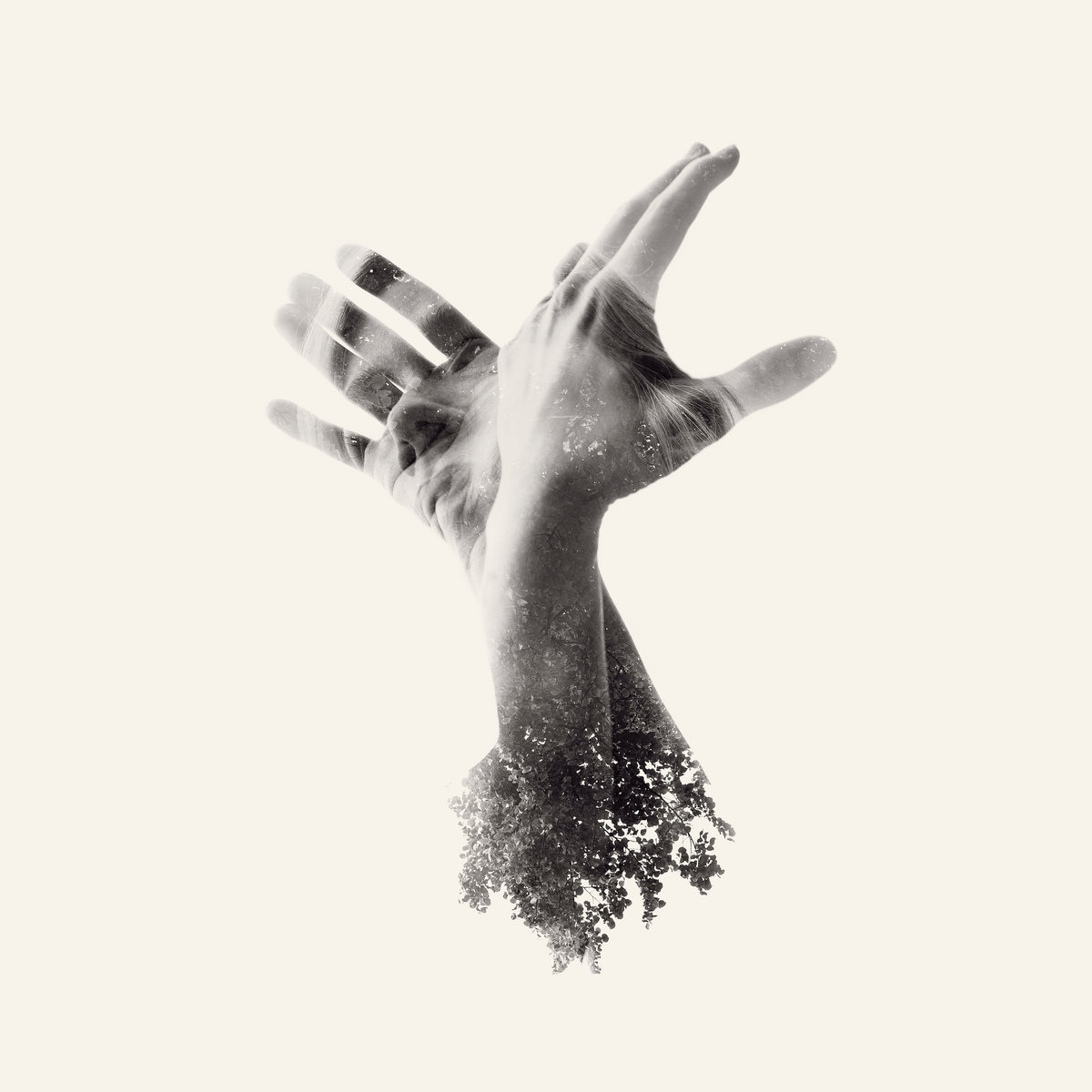 the nothing the last