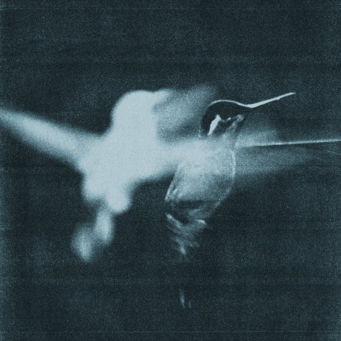 Pochette de stand still like the hummingbird par Wings of Desire