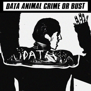 Music | DATA ANIMAL