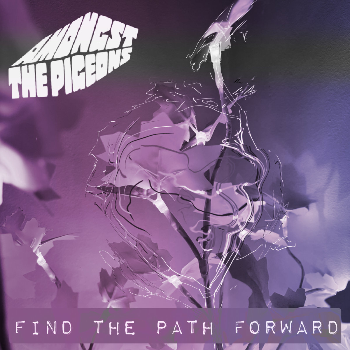 FIND THE PATH FORWARD (album) | Amongst the Pigeons